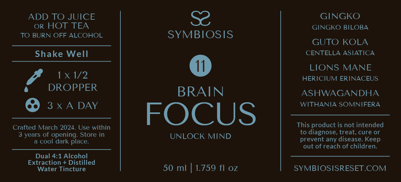 Brain Focus