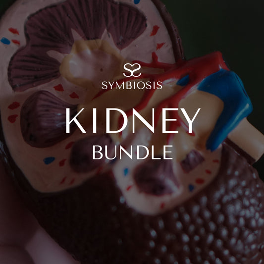 Kidney Bundle